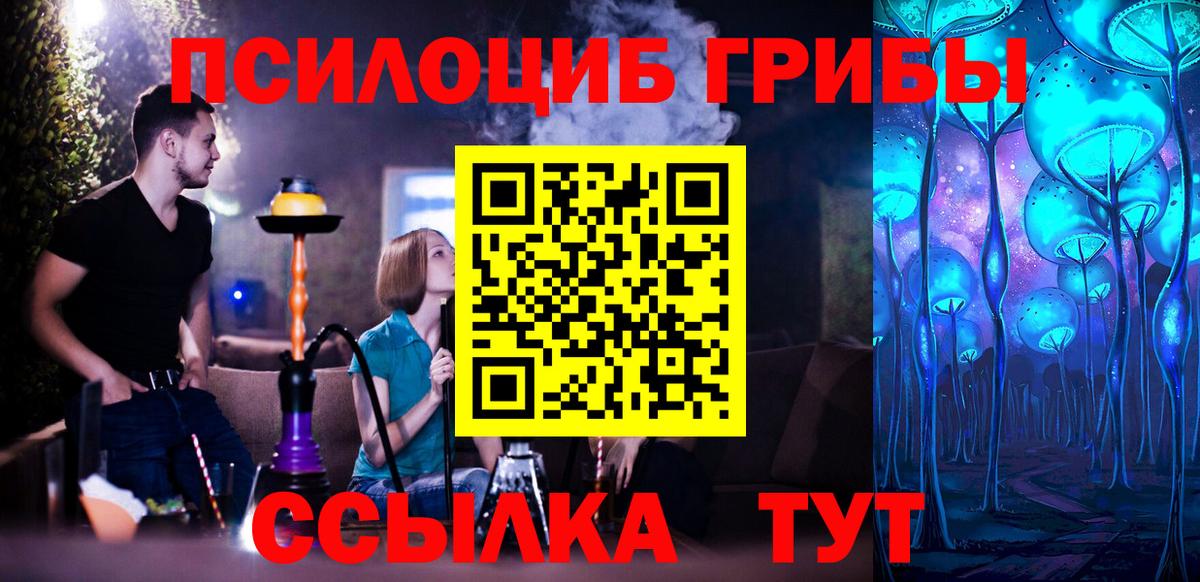 Галлюциногенные грибы Psilocybe Воткинск