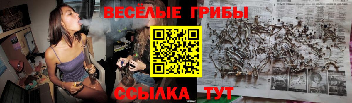 Псилоцибиновые грибы мицелий  Вход с VPN  Воткинск  где купить наркоту  Галлюциногенные грибы прущие грибы 